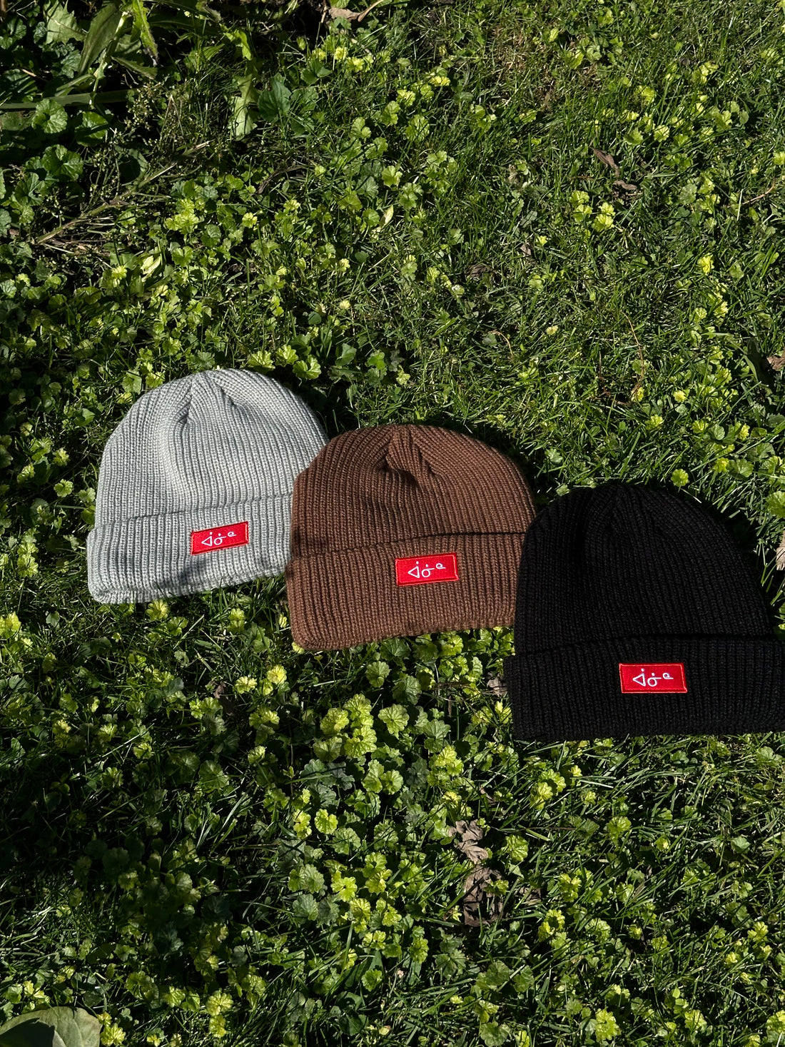 aaniin original beanie