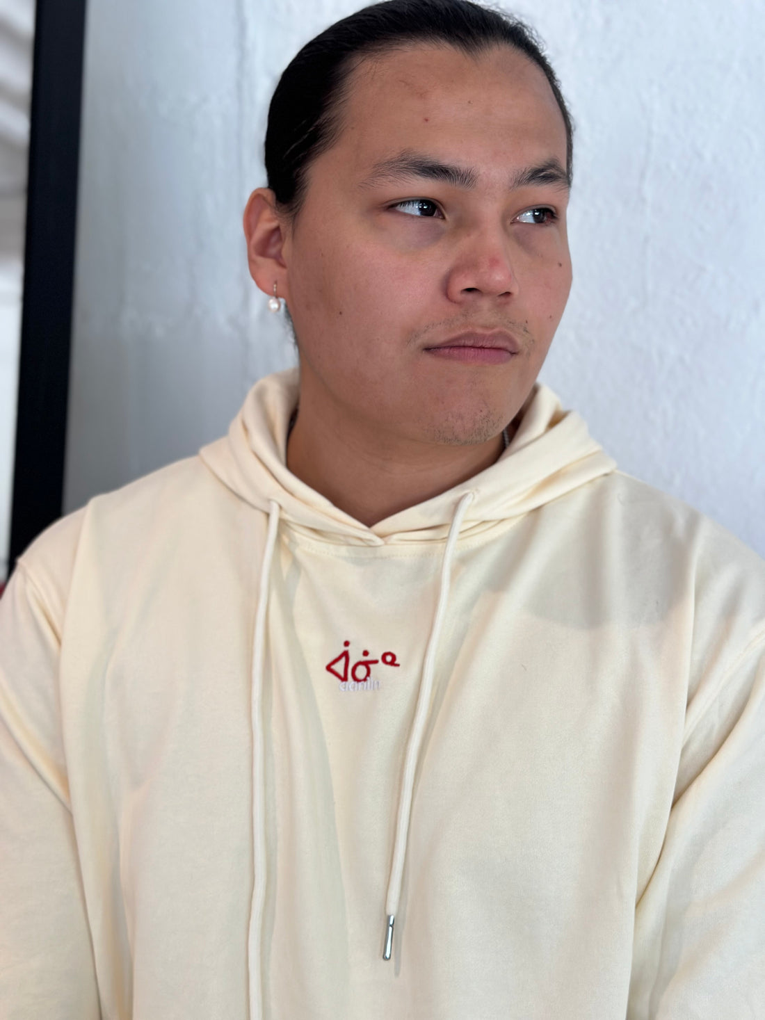 aaniin hoodie